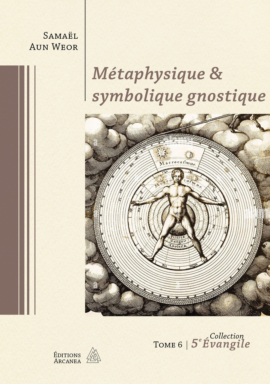 Métaphysique & symbolique gnostique / TOME 6