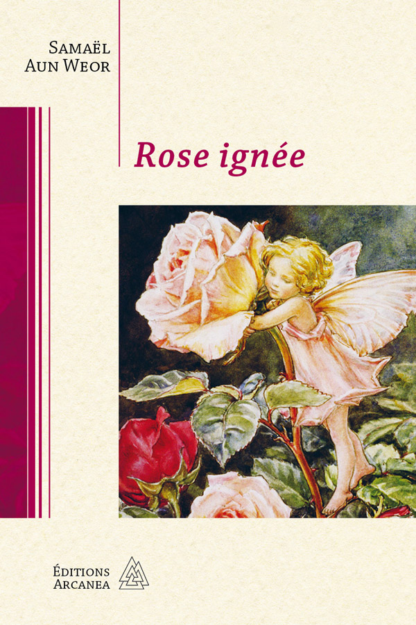 Rose ignée